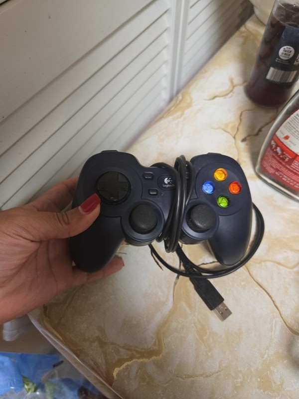 LOGITECH GAMEPAD F310 G-U0001 840-000058